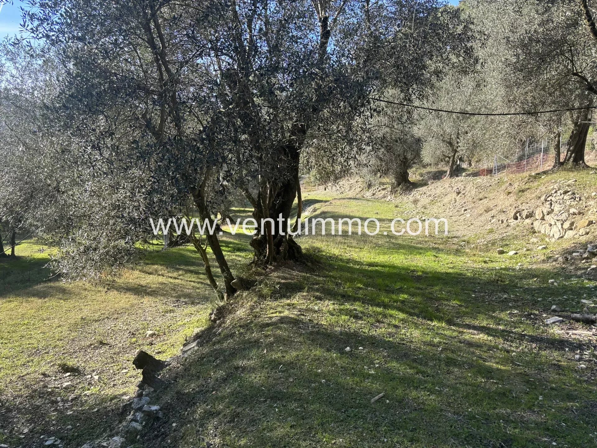 OPPORTUNITY L’ESCARENE 06 BUILDABLE POSSIBILITY WITH AN AREA OF 11916 m2