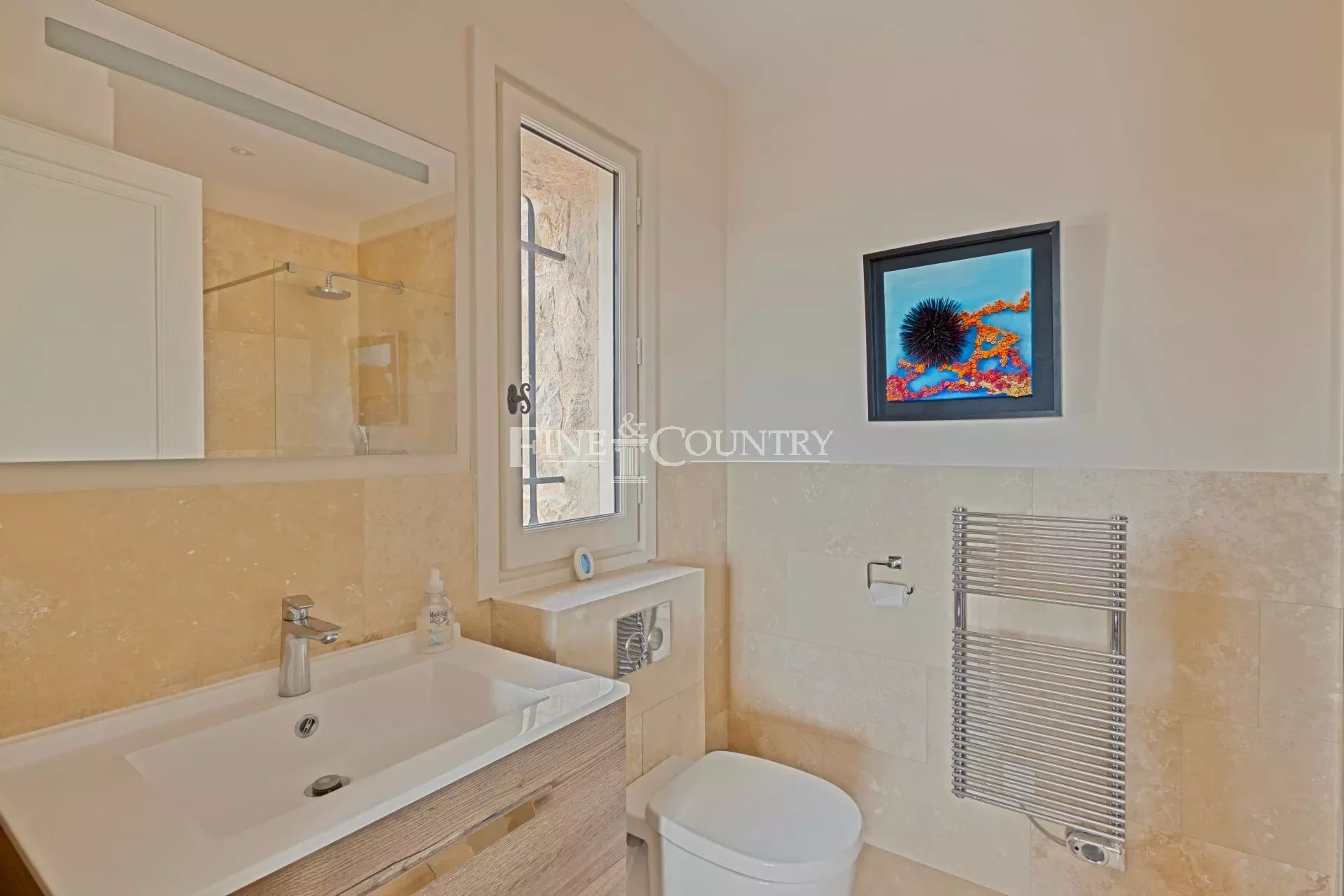 Photo of Bastide for sale in Tourrettes with Panoramic View