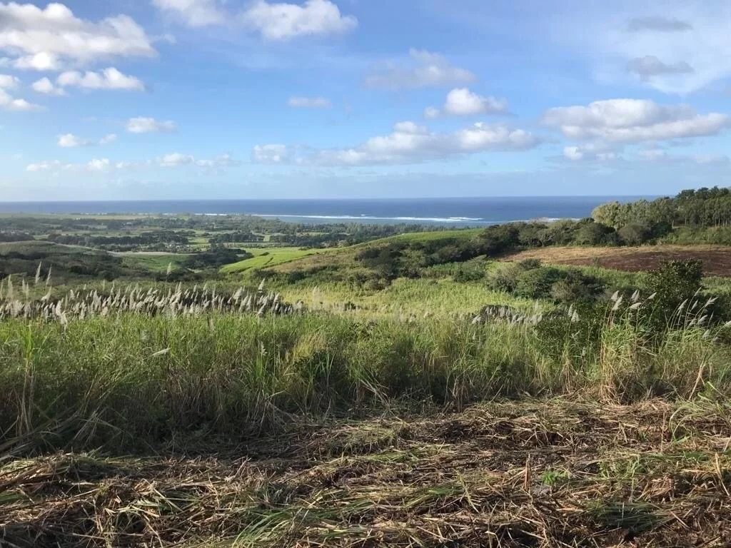 Zemin Baie du Cap