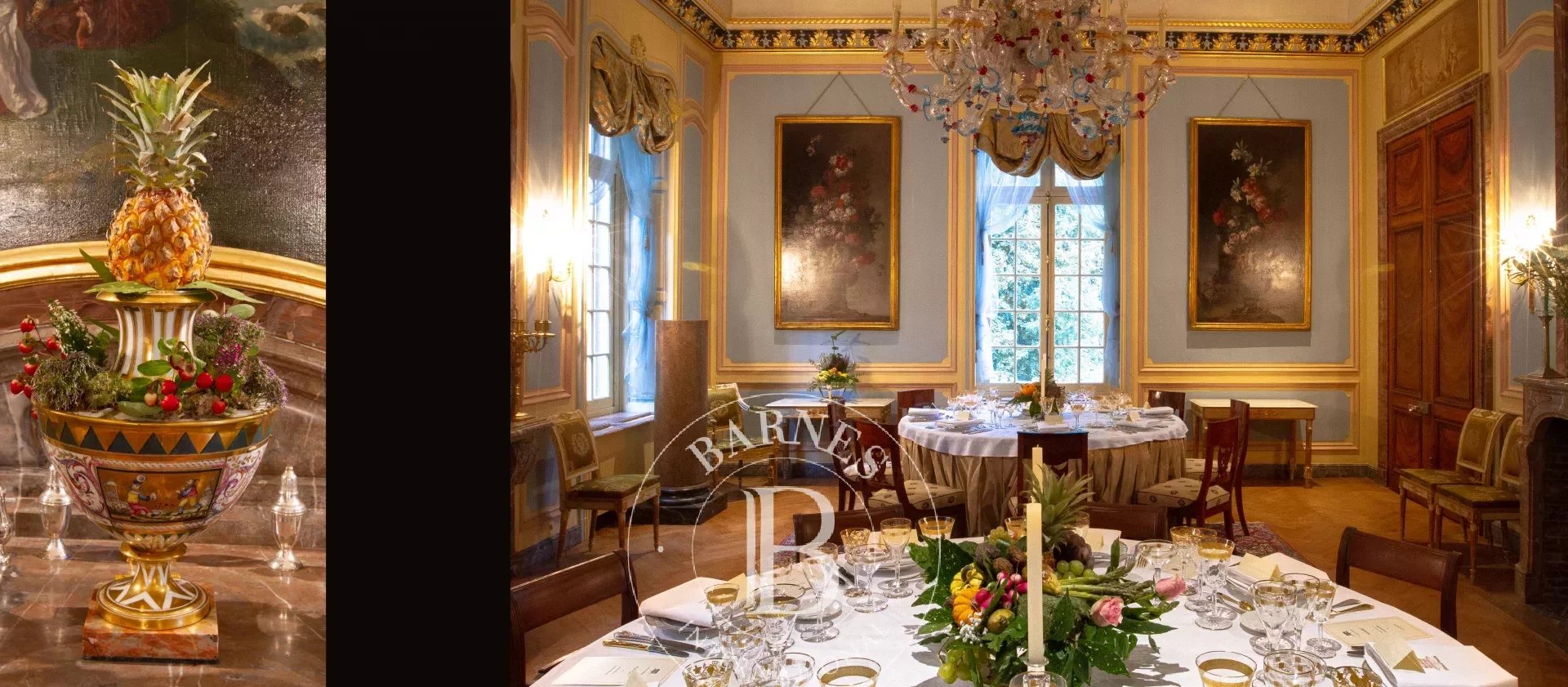 Magnificent Château set in over 4 hectares of parkland
