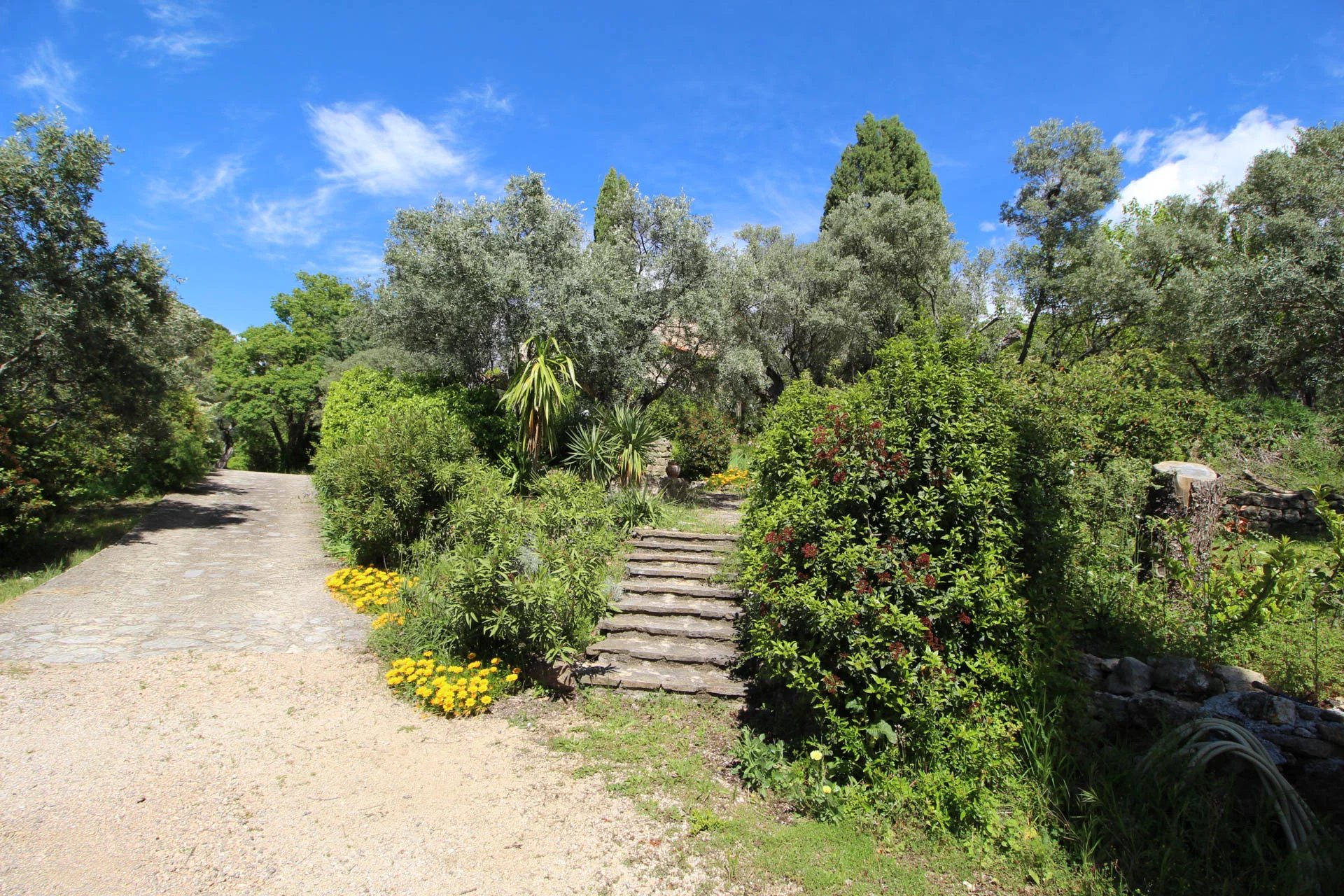 Charming 4 bedroom House with Stunning View walking distance Fayence