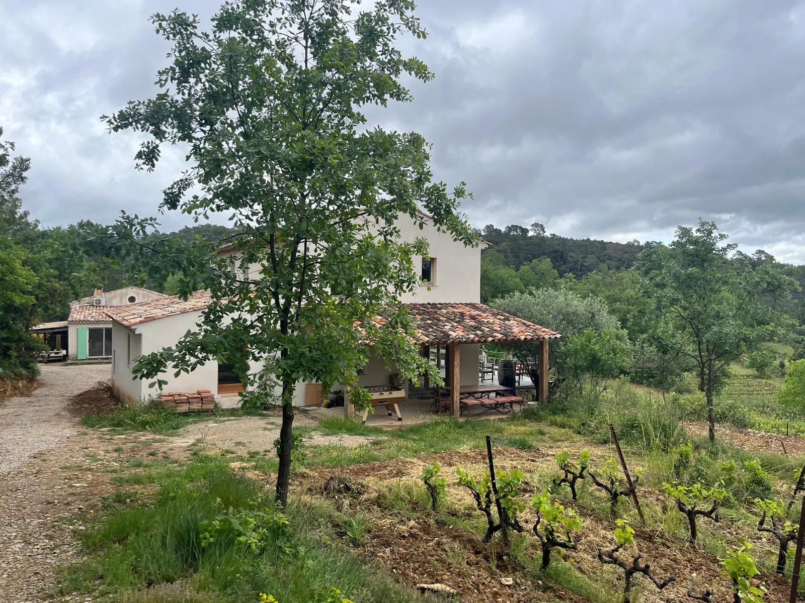 VINEYARD IN PROVENCE CLOSE TO COTIGNAC TO SELL