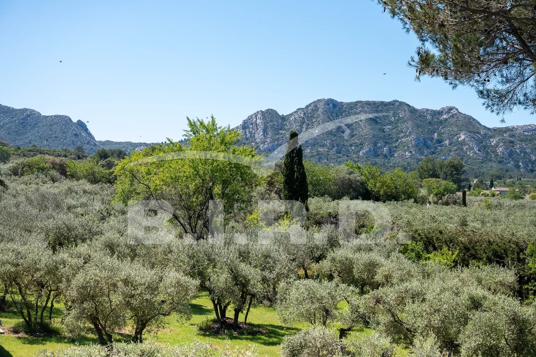 Photo of ALPILLES - EYGALIERSE BEAUTIFUL VILLA WITH SWIMMING POOL