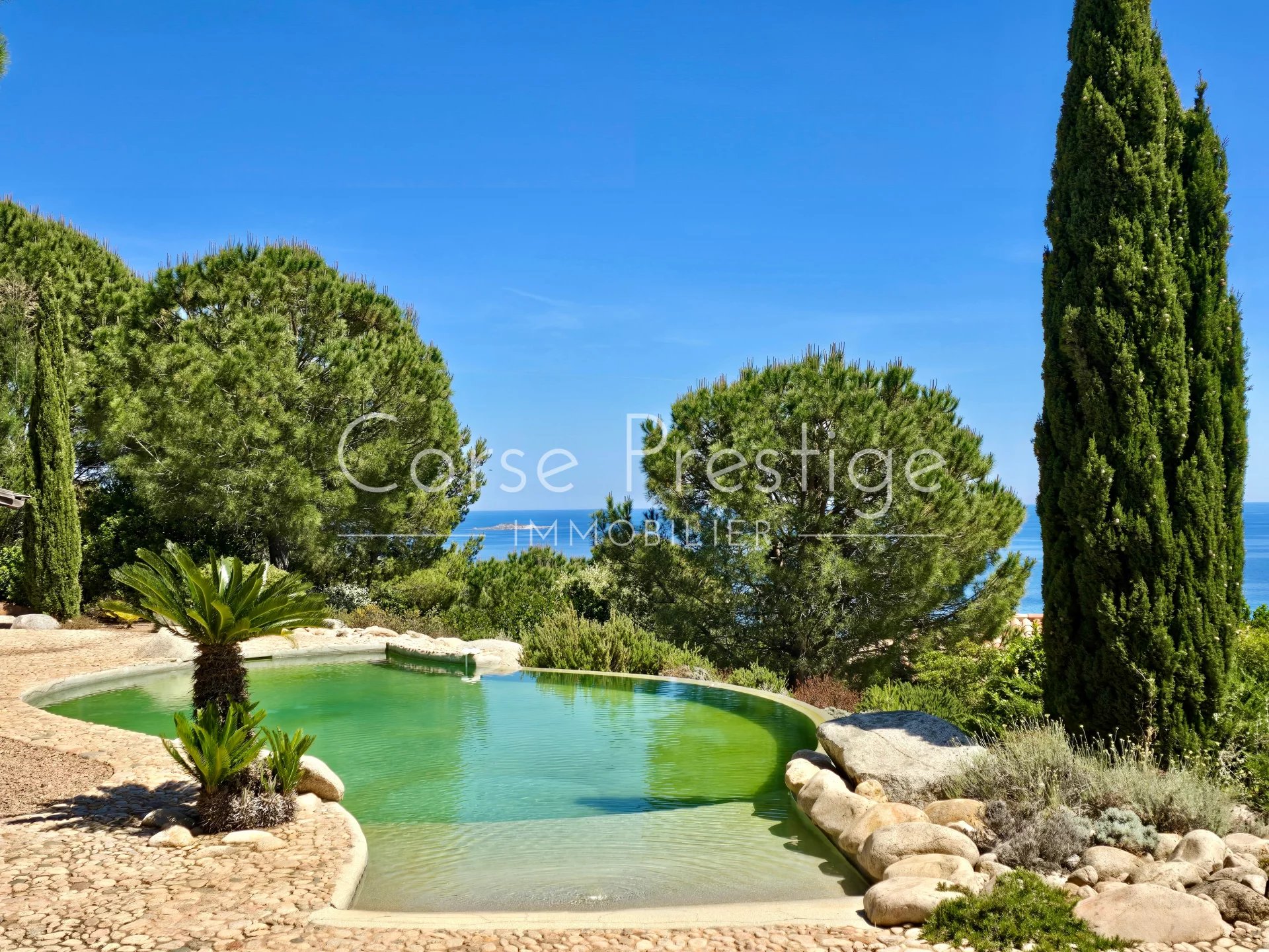 villa for sale in palombaggia - porto-vecchio - panoramic views image2