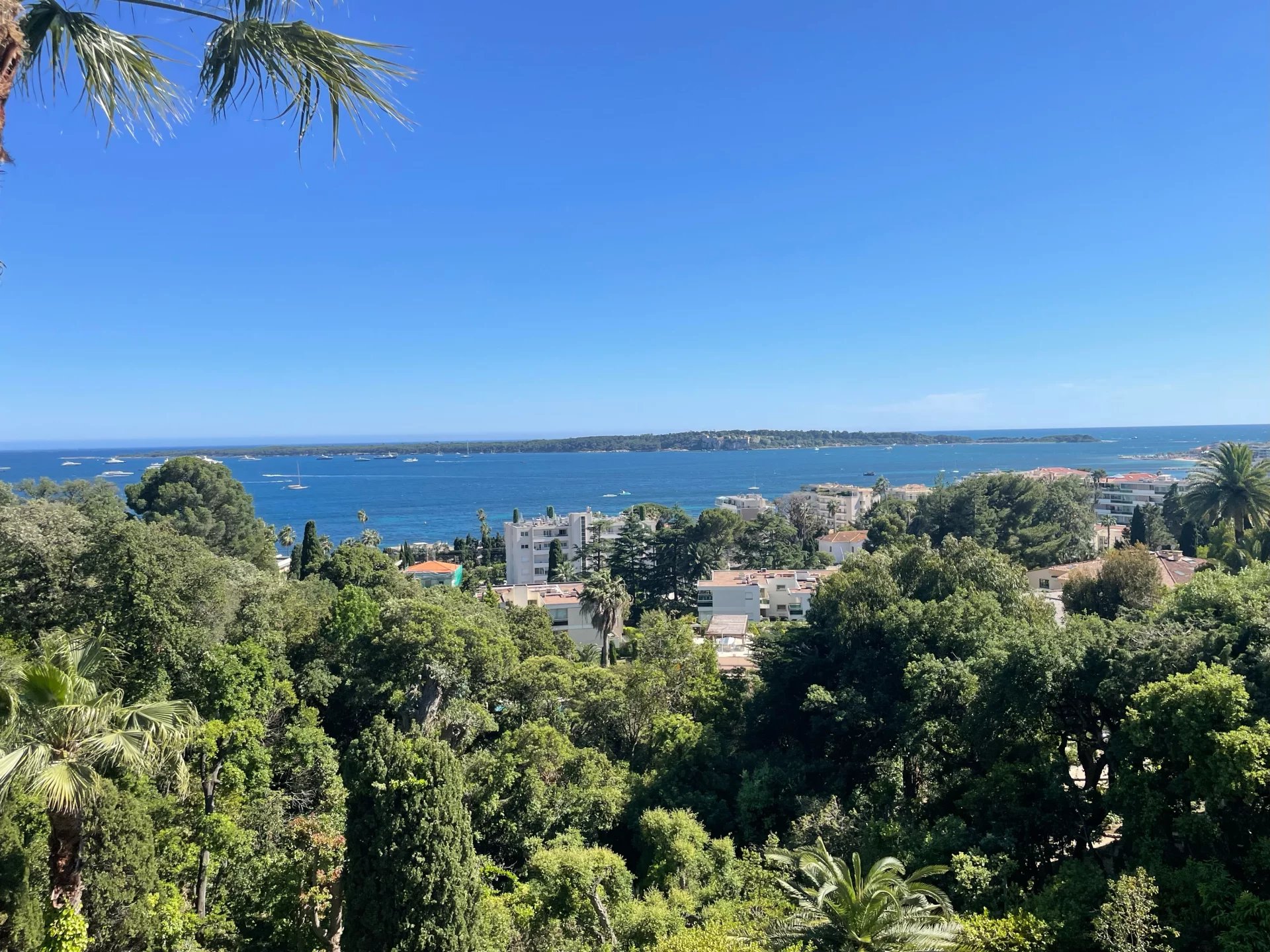 Vente Appartement 1 Pièce à Mougins (06250) - SP Real Estate