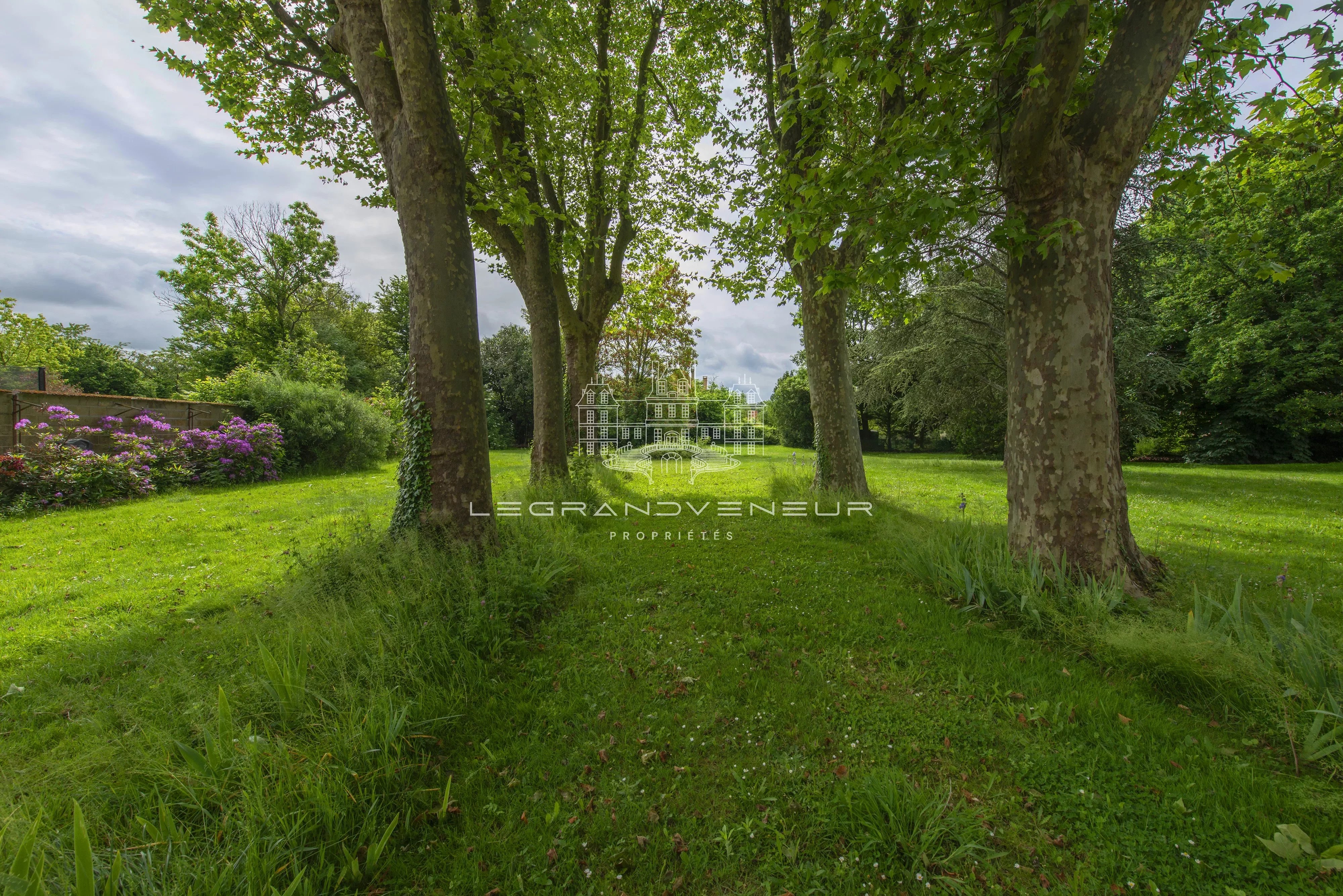 Sale Property Fontainebleau