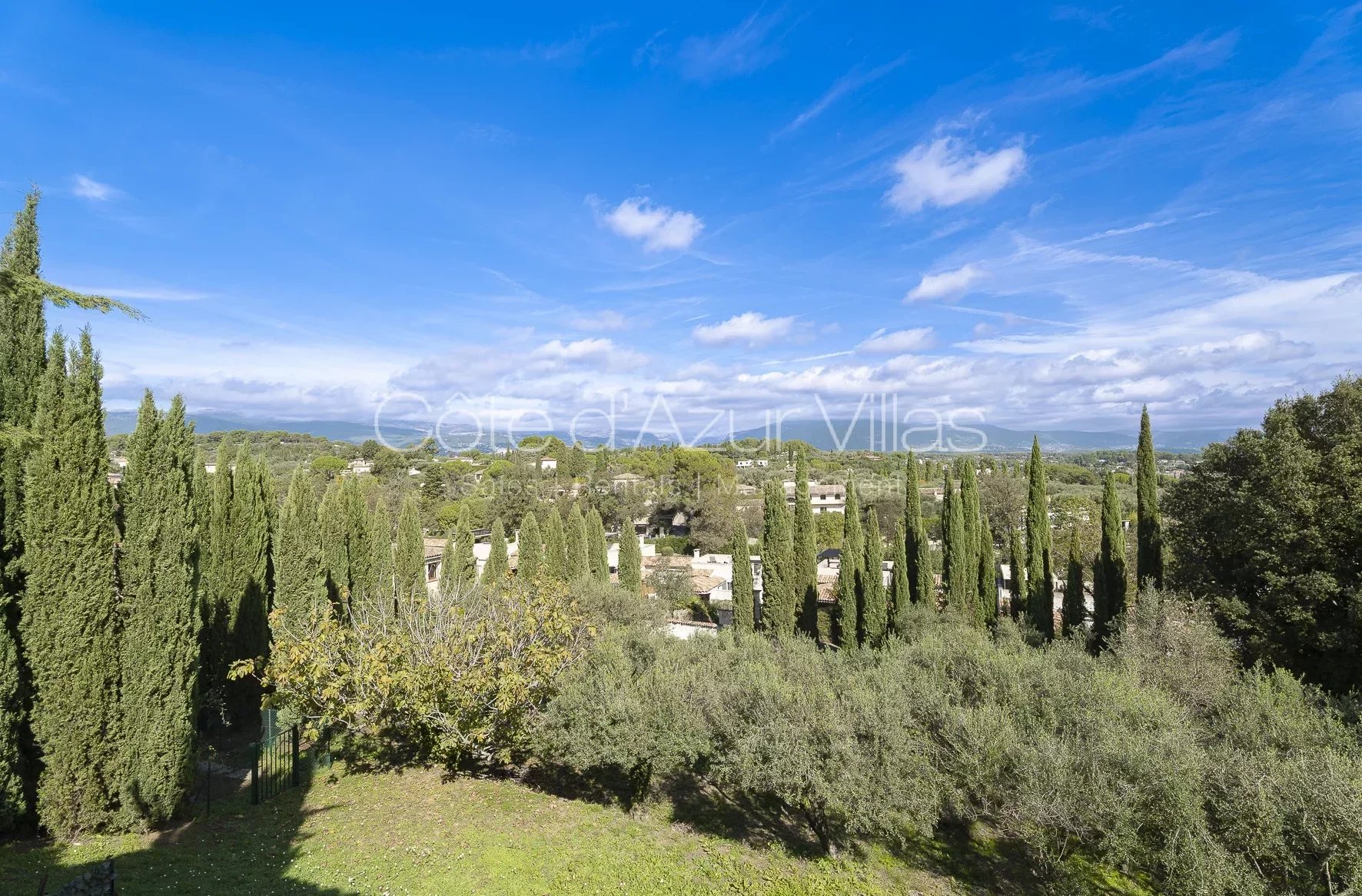 Valbonne - Superb Bastide set in an olive grove