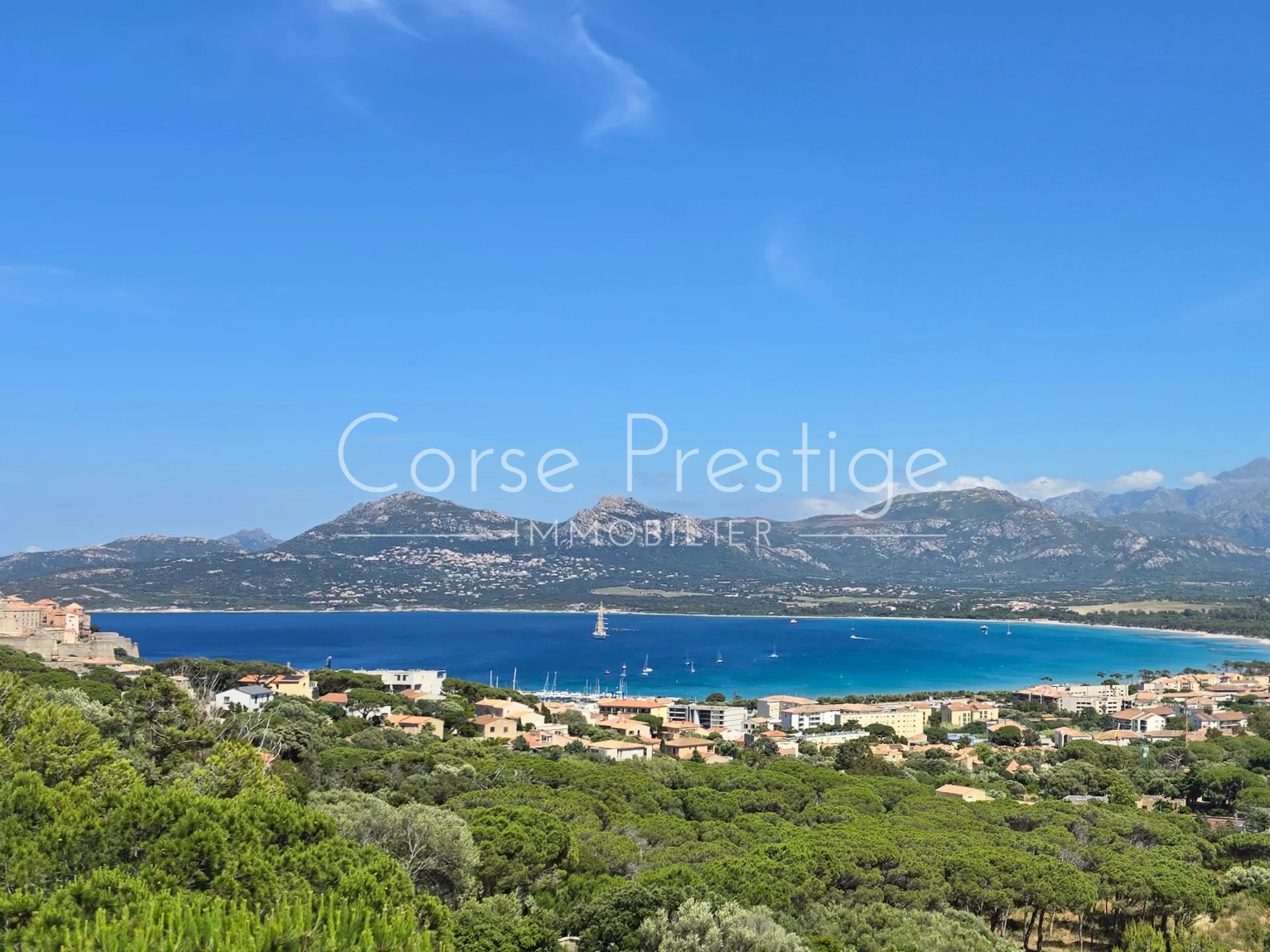 villa a vendre calvi - piscine - vue panoramique - haute corse image1