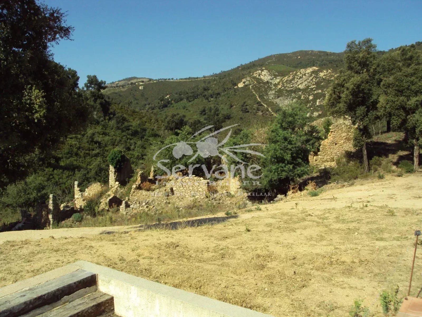 PROVENCAL MAS SETS ON 2HA PLAN DE LA TOUR