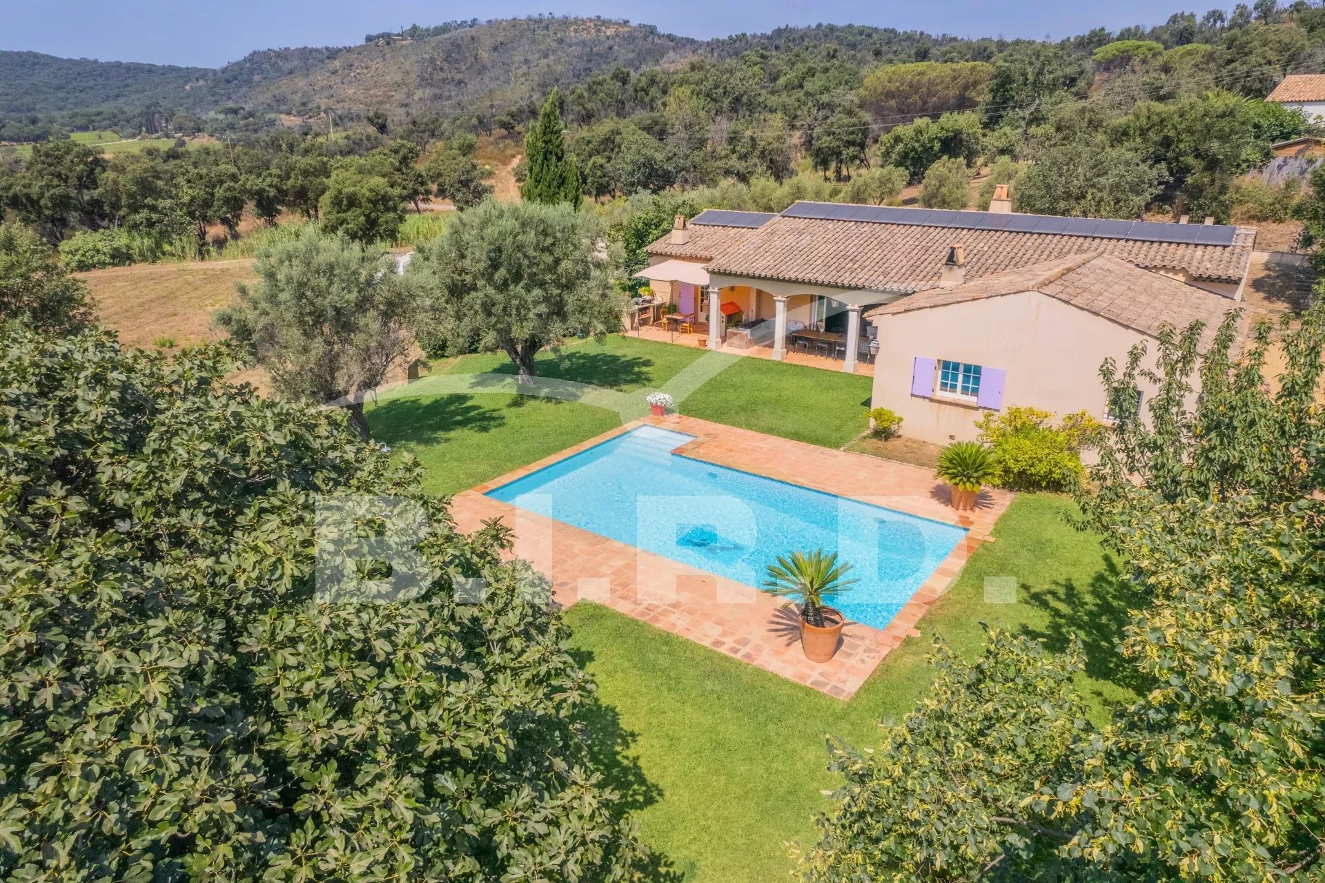 Beautiful Provençal villa surrounded by vineyards Accommodation in Cogolin