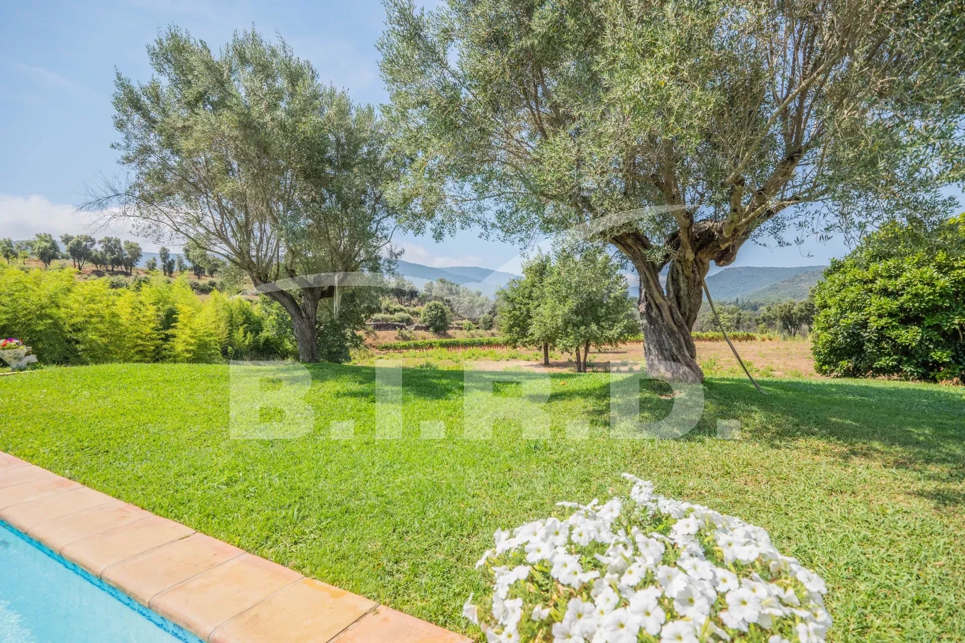 Photo of Beautiful Provençal villa surrounded by vineyards