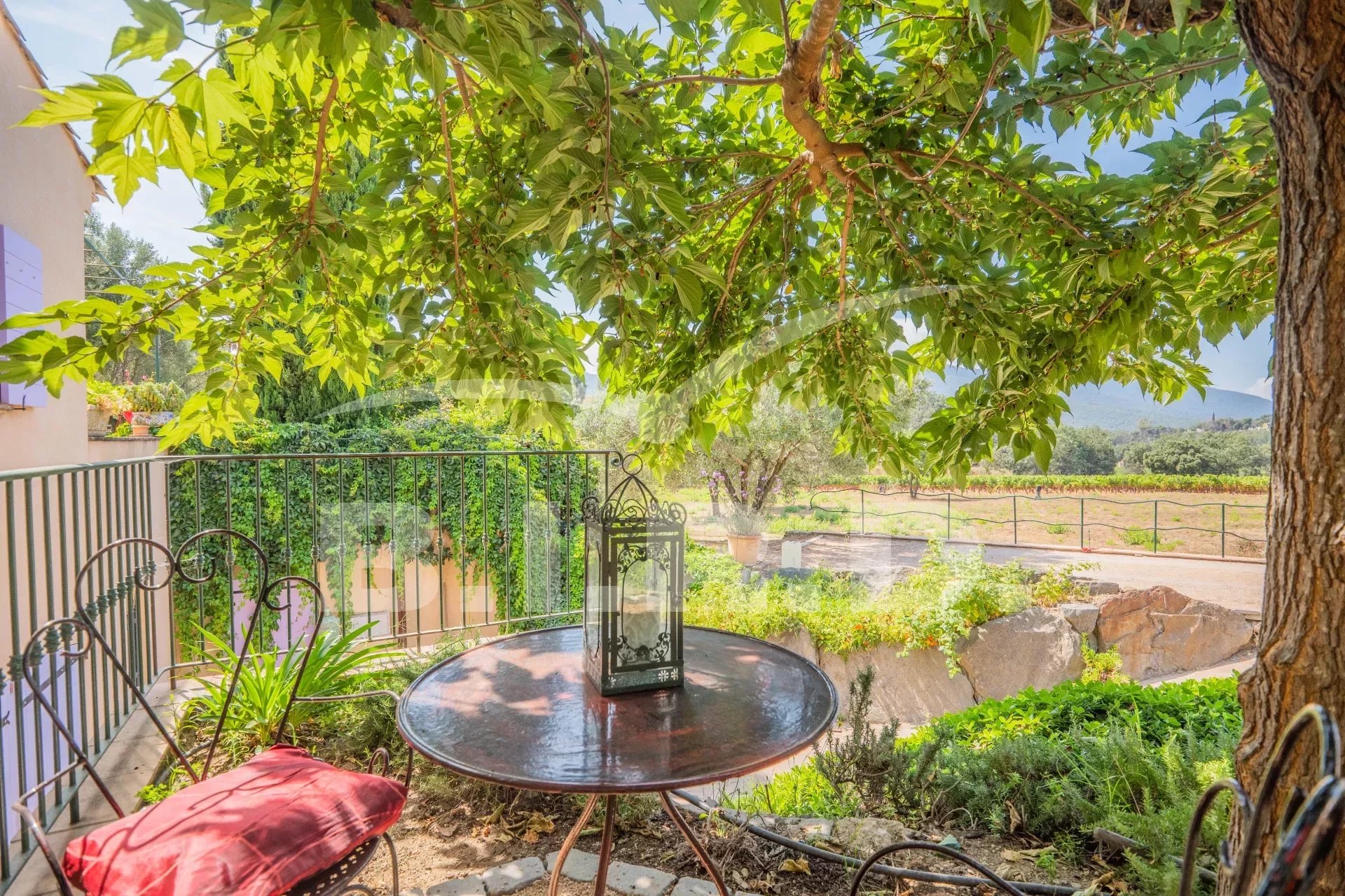 Photo of Beautiful Provençal villa surrounded by vineyards