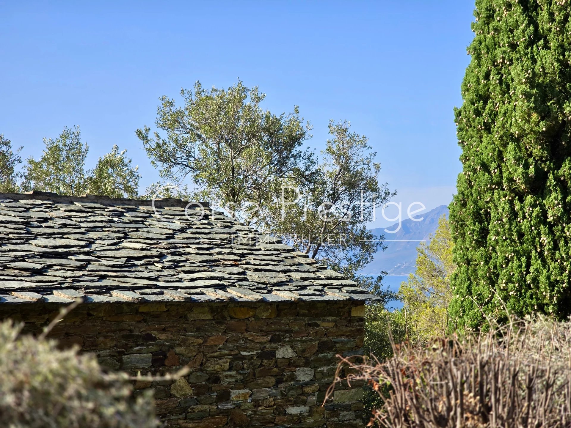 traditional stone house for sale - saint florent - north corsica image3