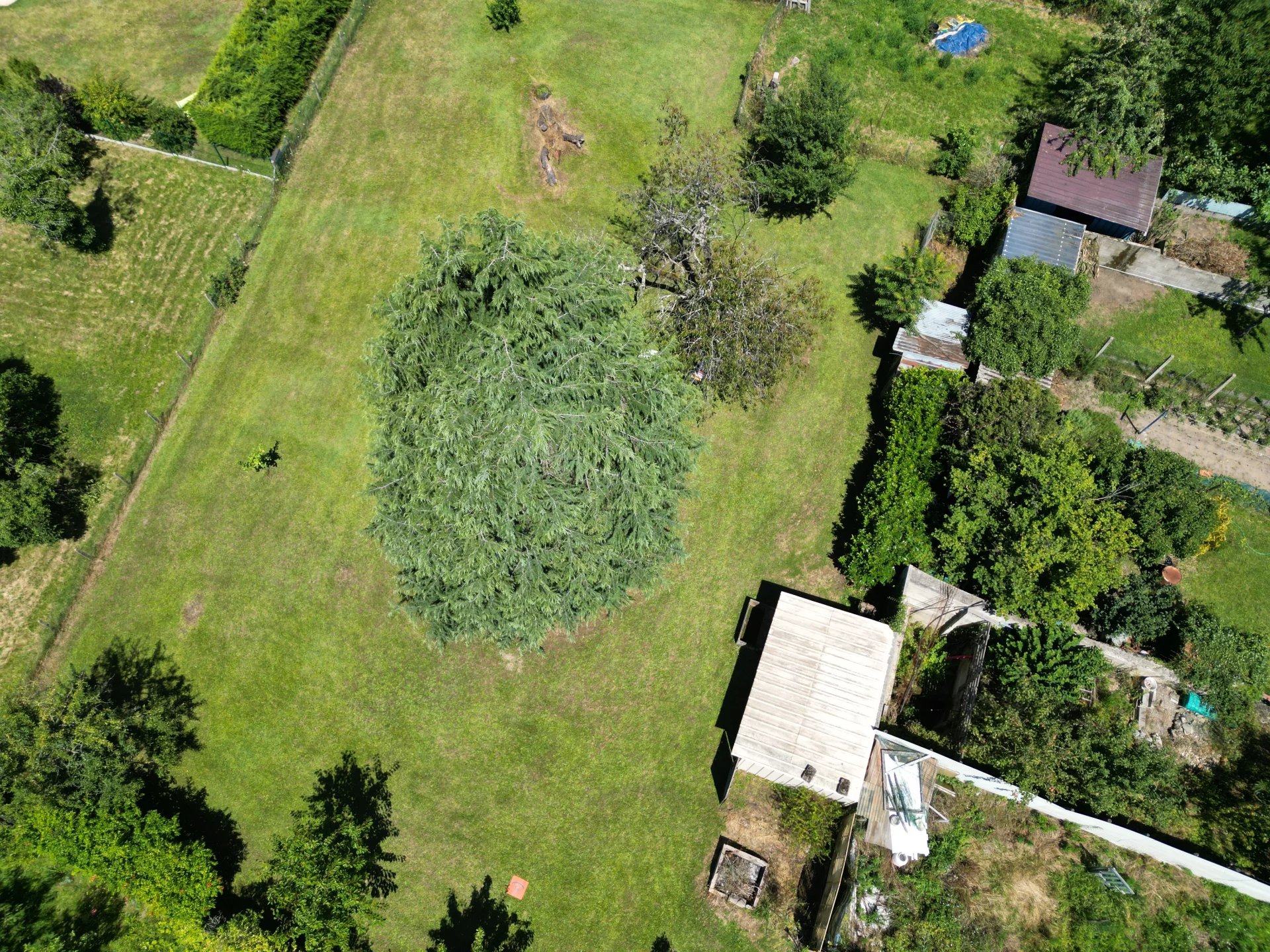 Maison quartier calme avec beau terrain et jardin