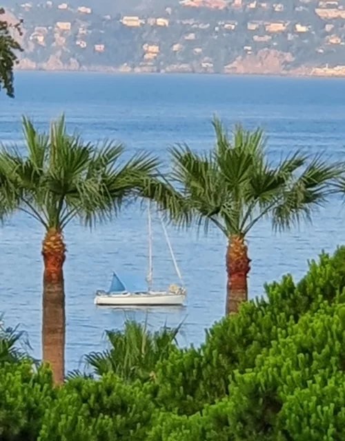 Sale Apartment - Cannes Pointe Croisette