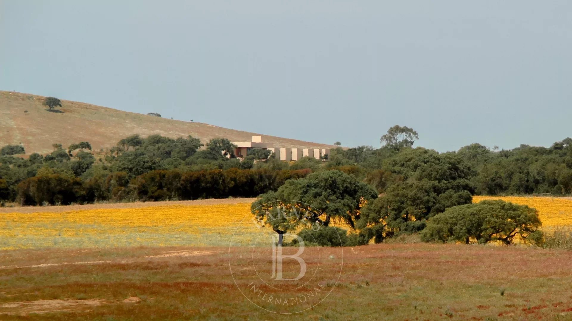 Propriedade com Moradia Contemporânea