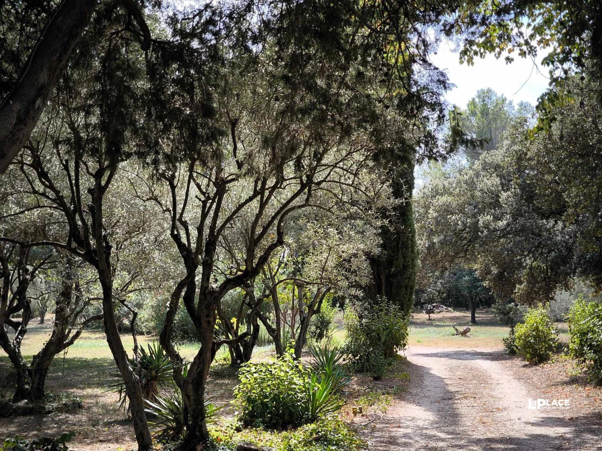 Propriété provençale entre Avignon et Chateauneuf du Pape