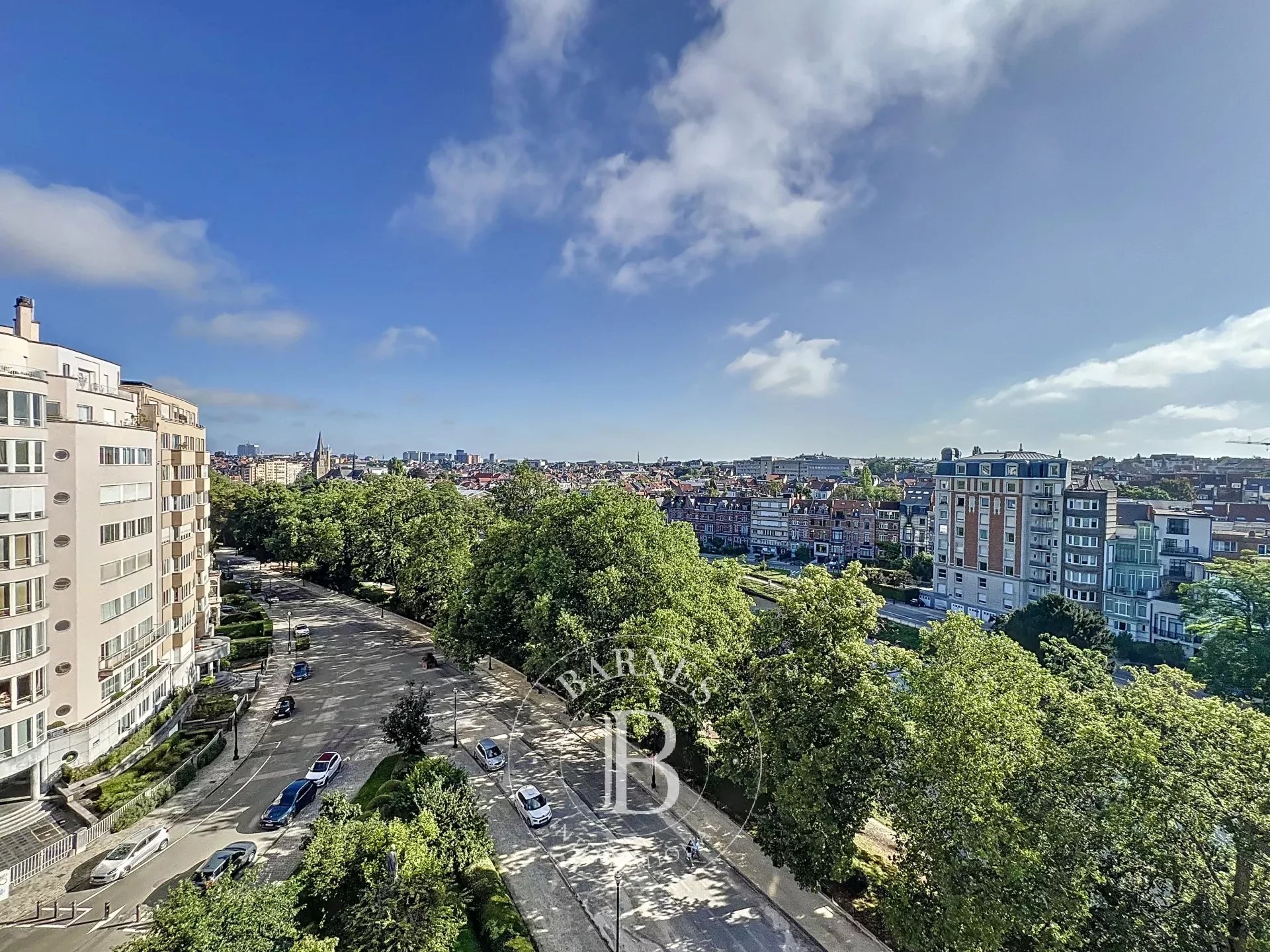 Bright apartment with a view of the Ixelles ponds