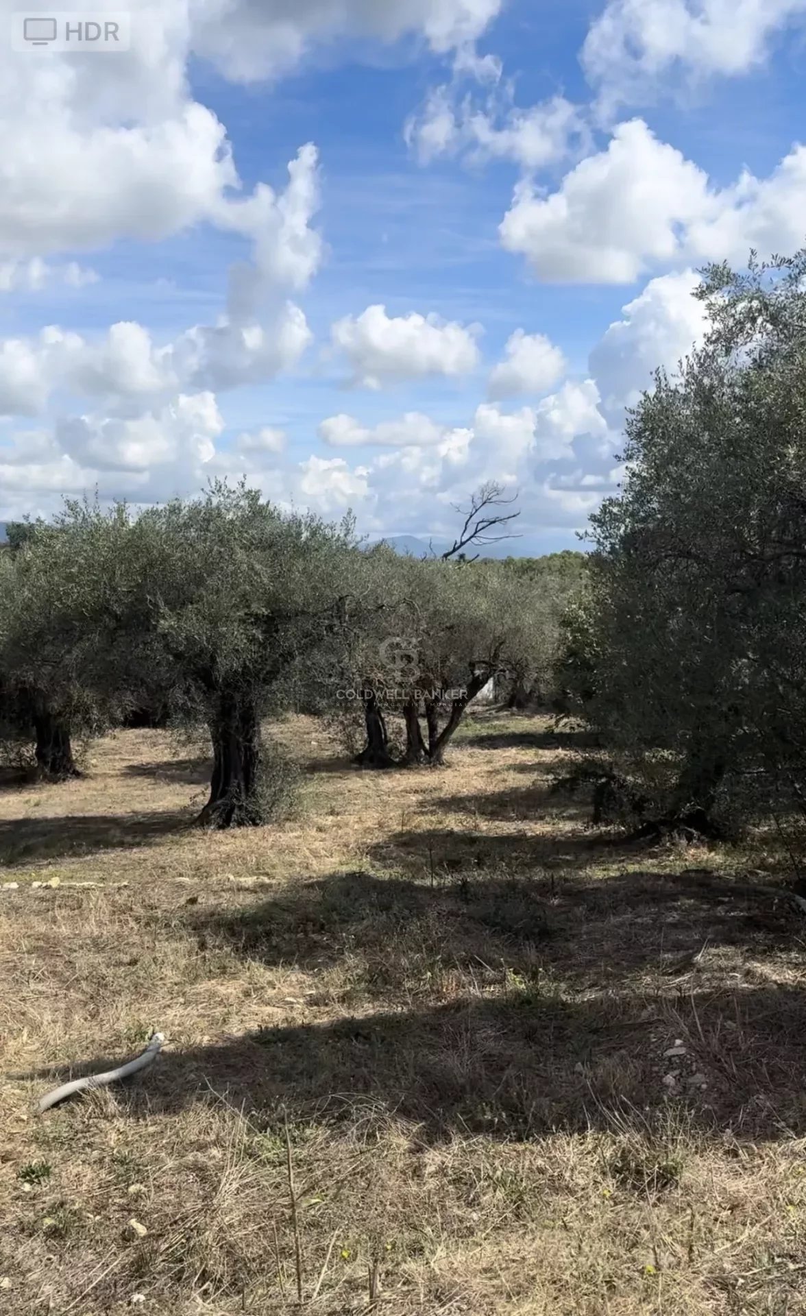 06560 VALBONNE TERRAIN