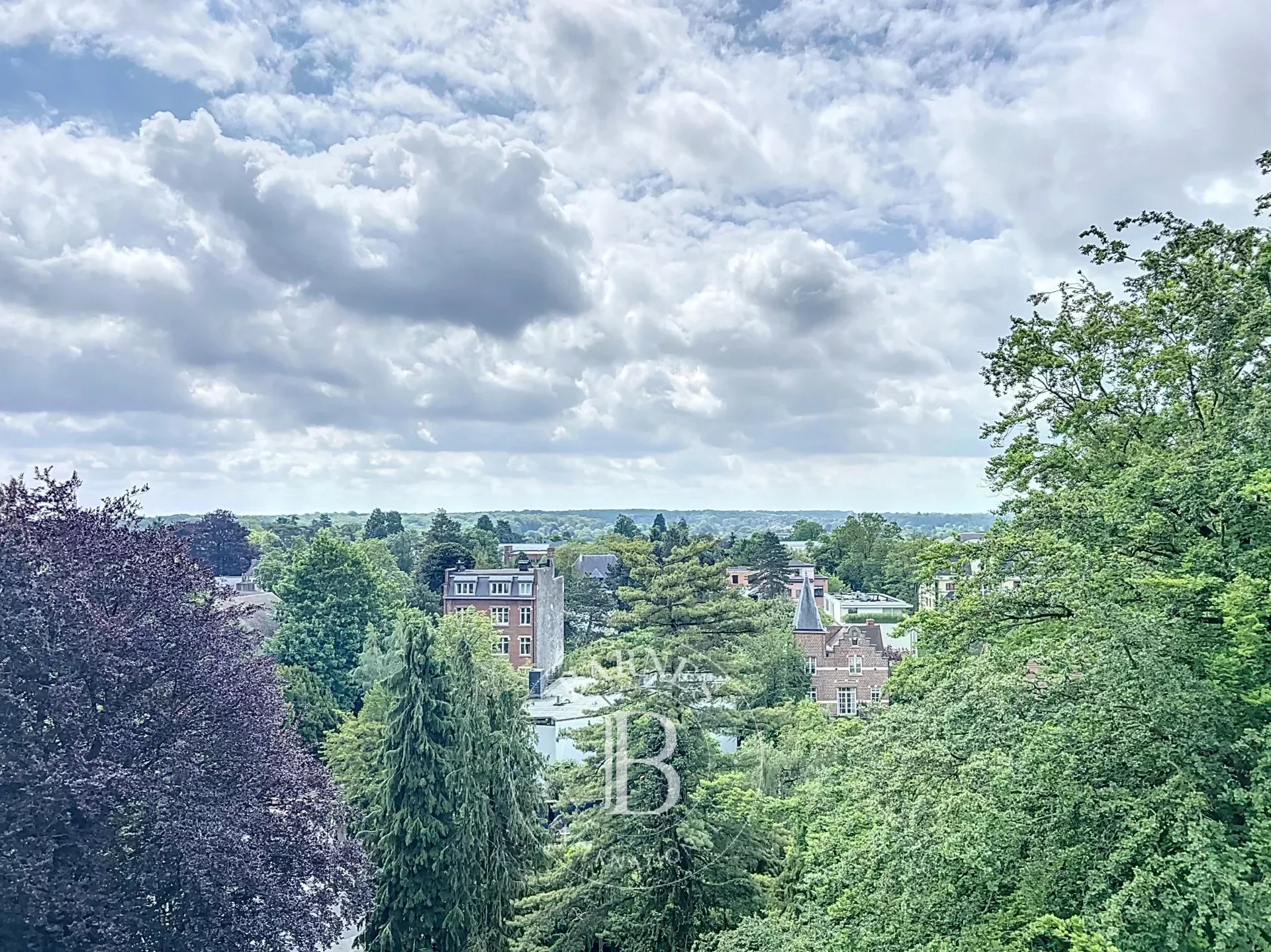 Duplex-penthouse observatory with large terrace