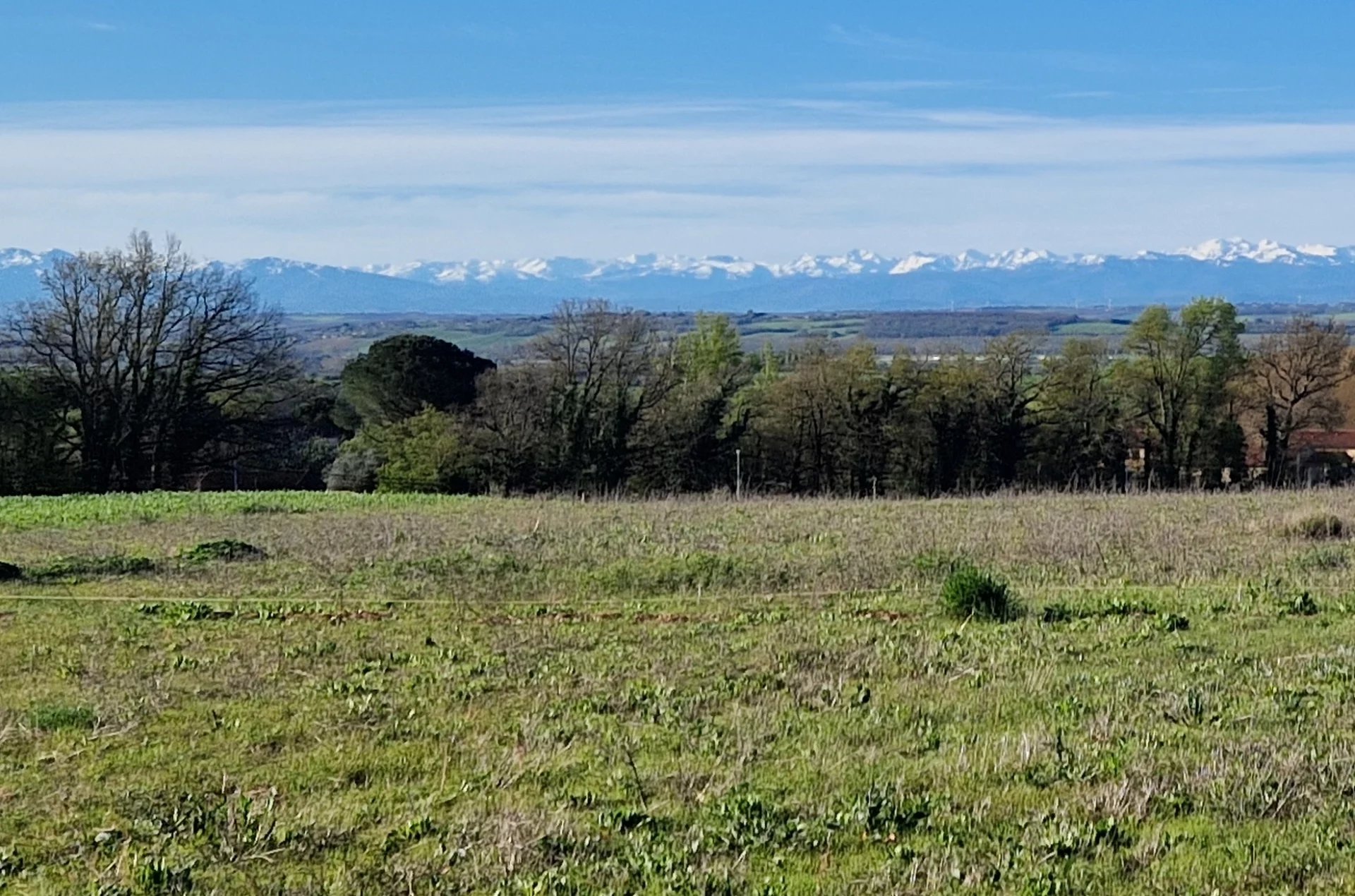 Terrain à bâtir