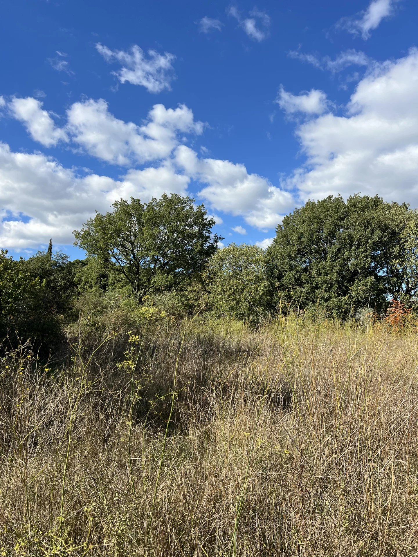 Terrain à bâtir de 1 347 m²