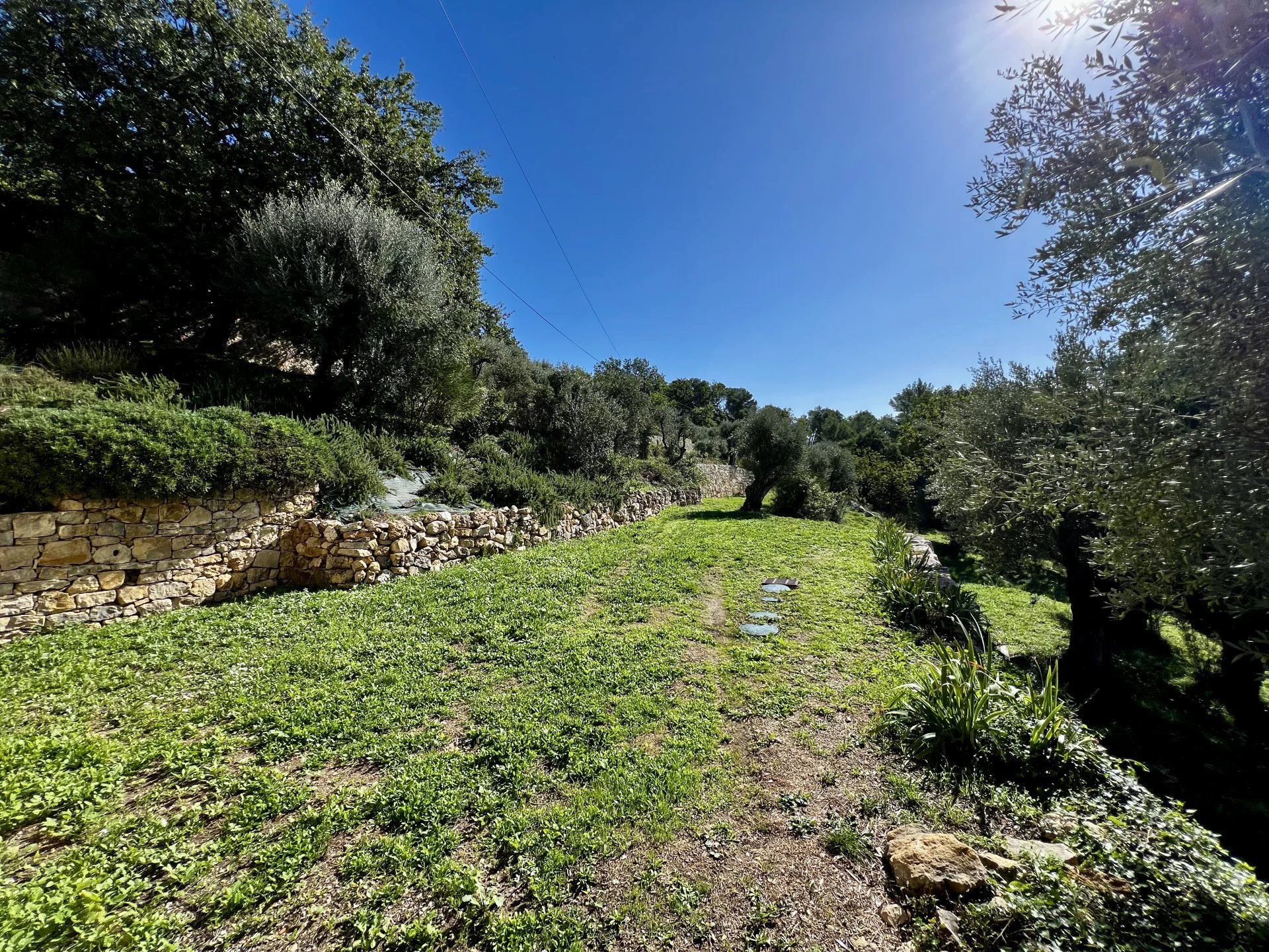 STONE SHEEPFOLD - FAYENCE