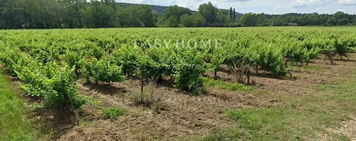 vineyard for sale